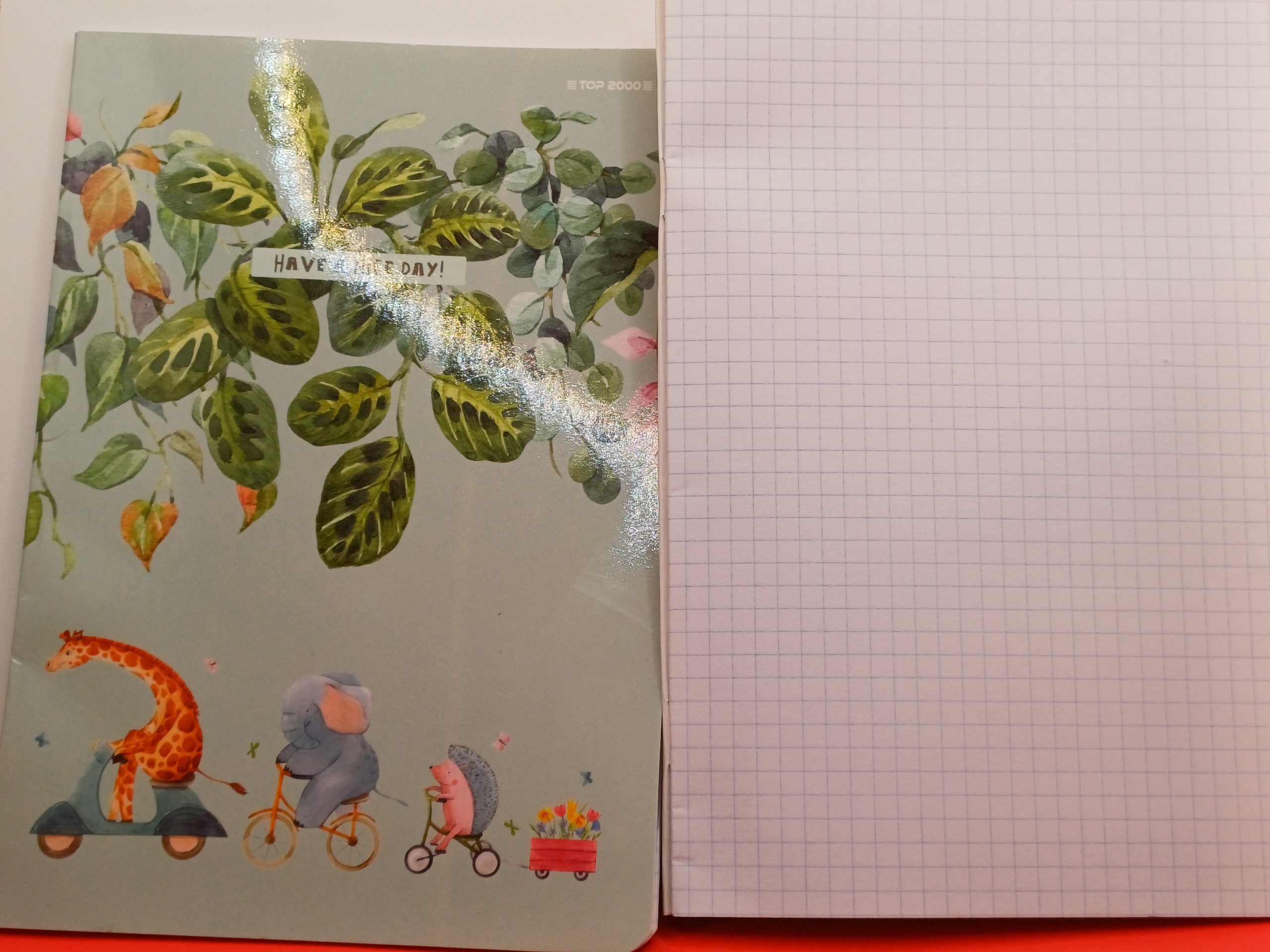 Cahier A5 petits carreaux 16 pages