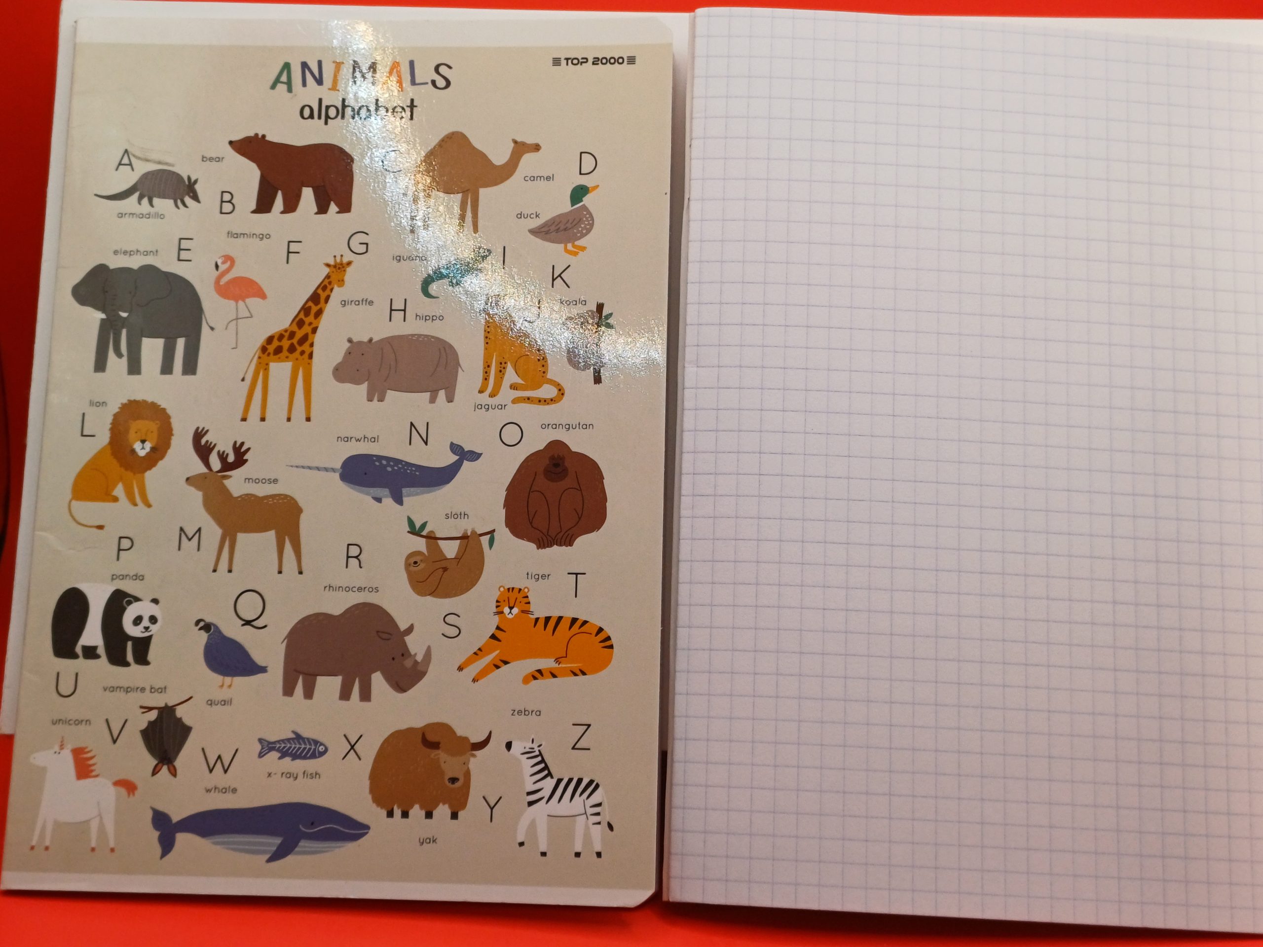 Cahier A5 petits carreaux 16 pages