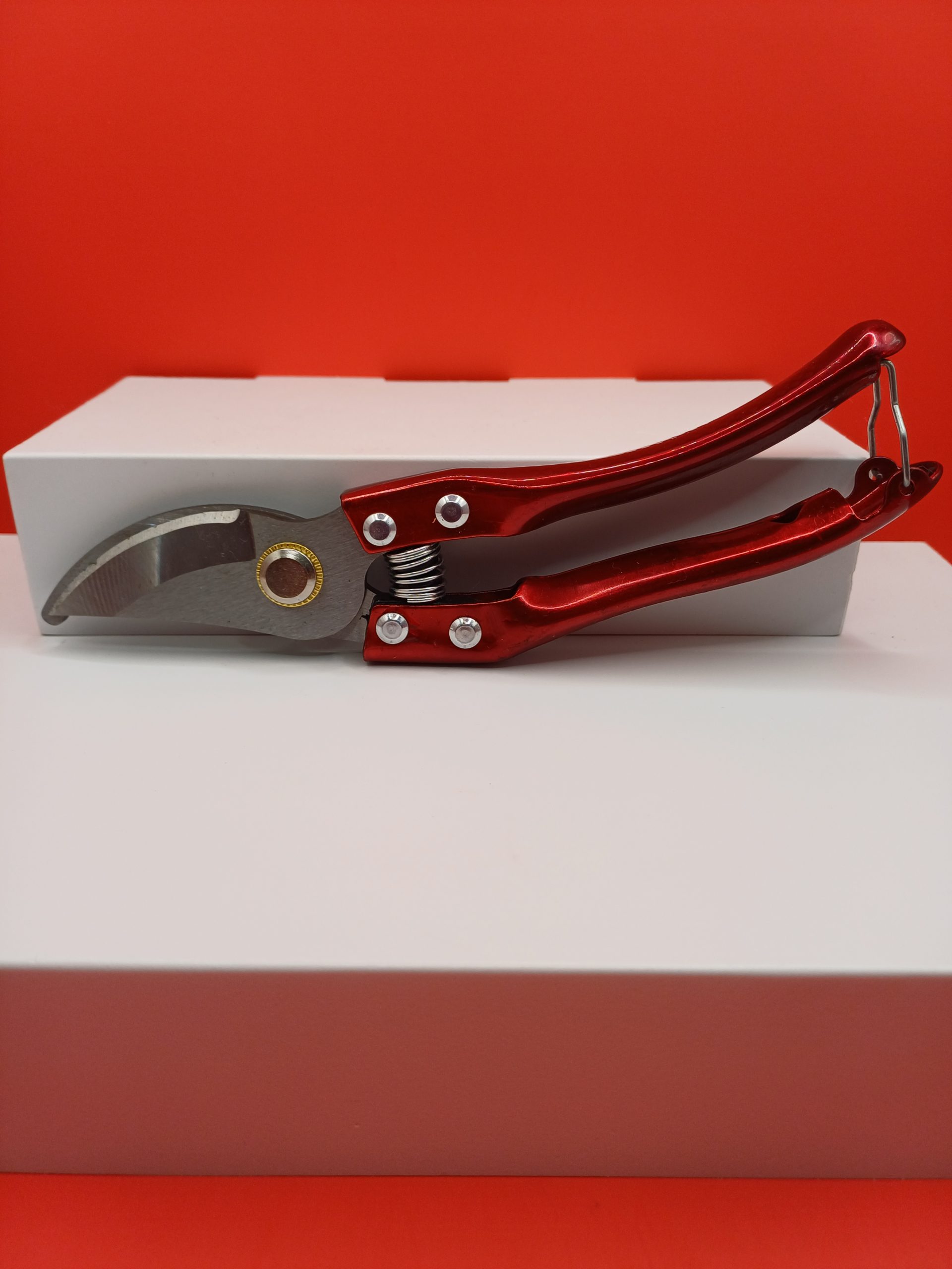 Sécateur 20 CM